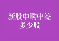 新股申购中签率与中签股数的深度解析