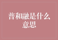 普和融，到底是什么东东？