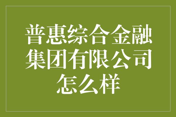 普惠综合金融集团有限公司怎么样