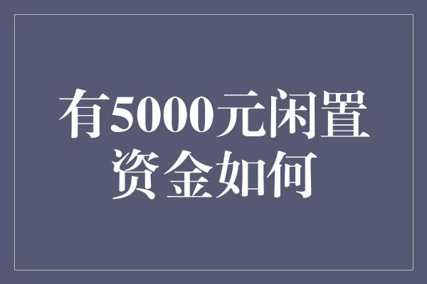 有5000元闲置资金如何