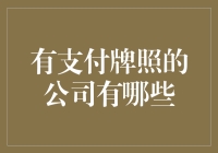 有支付牌照的公司：那些手持金融许可证的家伙们