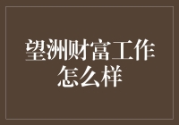 望洲财富：金融行业的创新探索实践