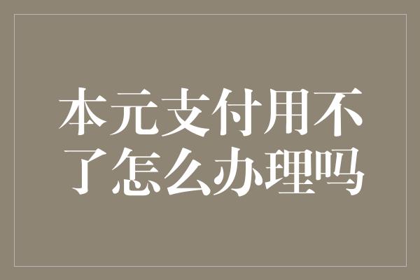 本元支付用不了怎么办理吗