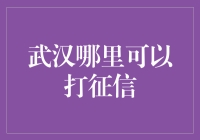 武汉哪里可以打征信？- 探索武汉的秘密征信处