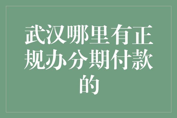 武汉哪里有正规办分期付款的