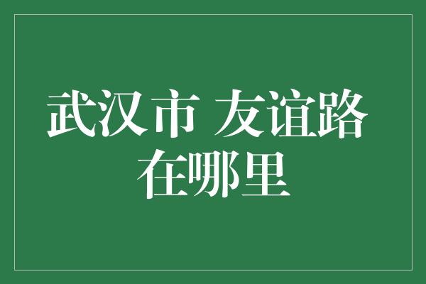 武汉市 友谊路 在哪里