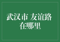 武汉市友谊路到底在哪里？问了百度地图，它居然说在路上！