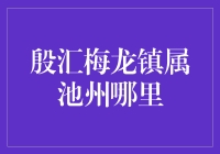 池州金融新焦点——梅龙镇的发展潜力