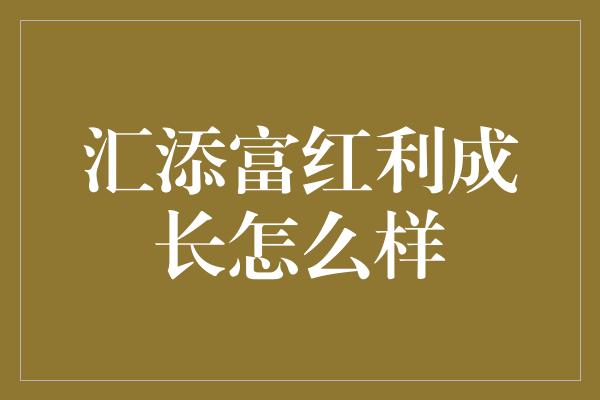 汇添富红利成长怎么样