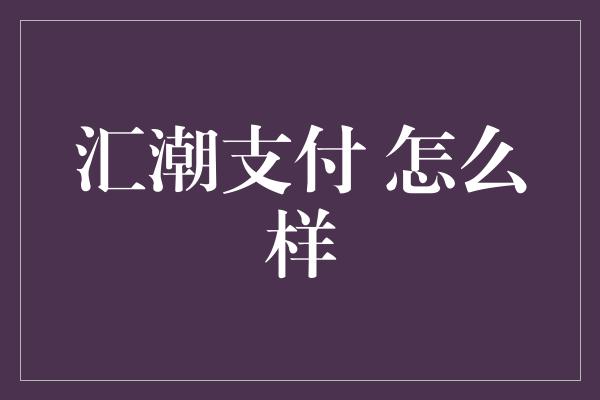 汇潮支付 怎么样