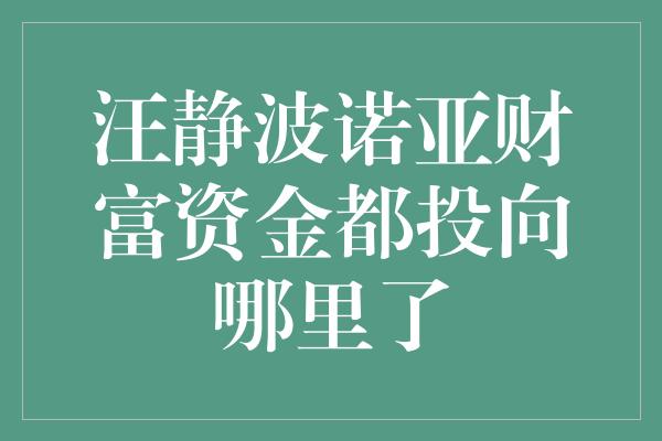 汪静波诺亚财富资金都投向哪里了