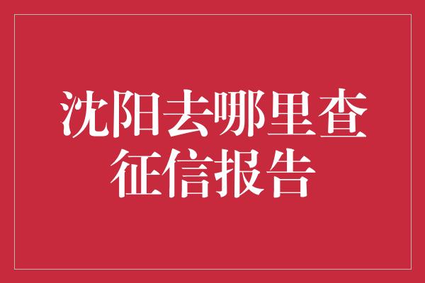 沈阳去哪里查征信报告