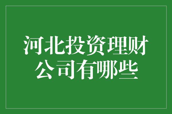 河北投资理财公司有哪些