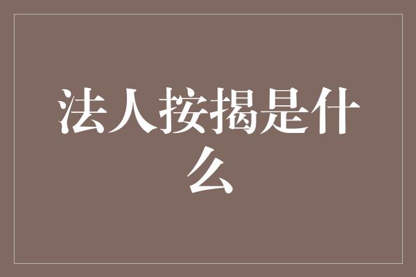 法人按揭是什么