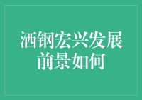 洒钢宏兴的未来：是钢铁还是海绵？