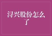 浔兴股份并购后的运营困局与转型挑战