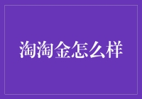 淘淘金，赶在时代潮流前的淘金者