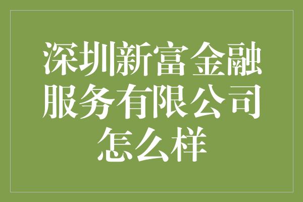 深圳新富金融服务有限公司怎么样