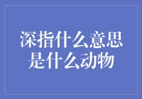 深指到底是什么意思？难道是一种新宠物？