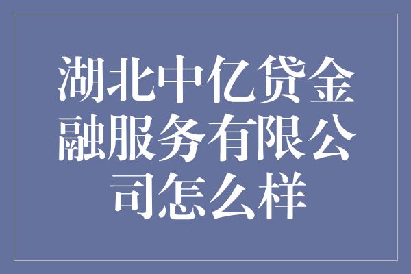 湖北中亿贷金融服务有限公司怎么样