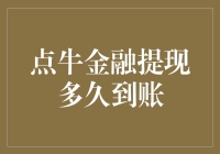 点牛金融提现流程解析：到账时间与影响因素详述