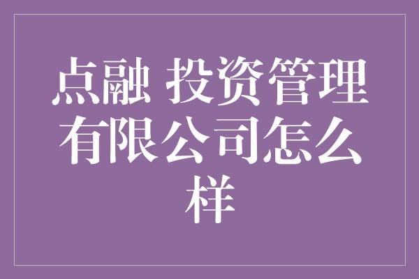 点融 投资管理有限公司怎么样