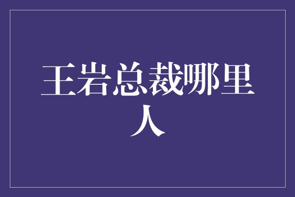 王岩总裁哪里人