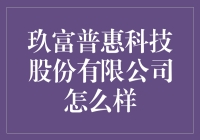 玖富普惠科技股份有限公司：金融科技行业的革新者