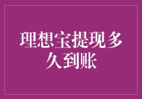 理想宝提现多久到账？别急，给你点儿时间琢磨琢磨