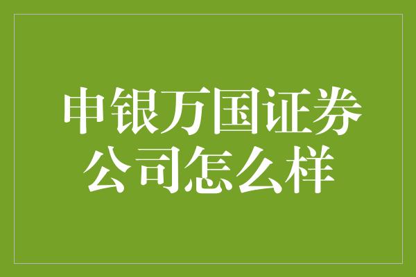 申银万国证券公司怎么样