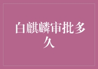 白麒麟审批流程：从提交到批准需要多久时间？