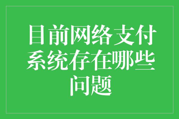 目前网络支付系统存在哪些问题