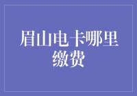 眉山电卡缴费指南：多渠道便捷服务