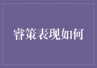 睿策表现如何：从金融视角看企业决策的科学性与艺术性