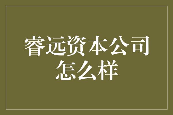 睿远资本公司怎么样