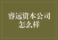 睿远资本：一群不务正业的投资人与他们的神奇小本子