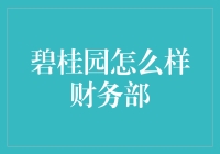 碧桂园财务部：数字的海洋，计算的诗篇