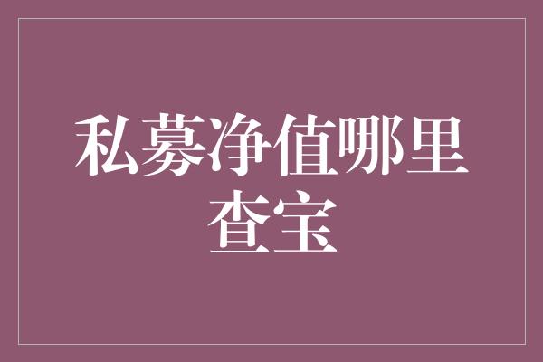 私募净值哪里查宝