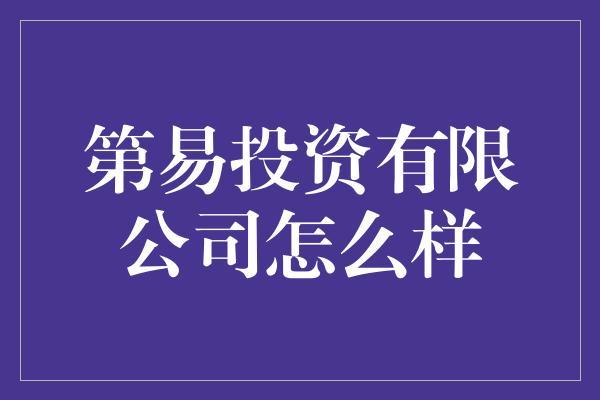 第易投资有限公司怎么样