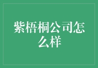 紫梧桐公司的秘密武器？