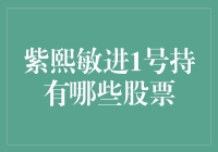 紫熙敏进1号持股概况与最新动态解析