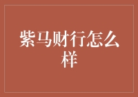 紫马财行的可靠性与发展趋势分析：构建安全金融生态圈的探索