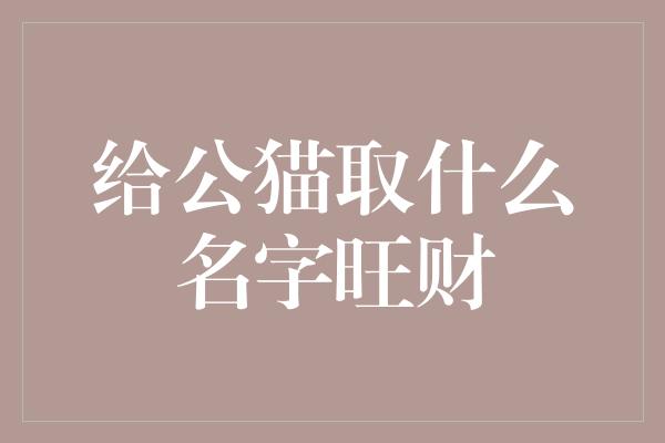 给公猫取什么名字旺财