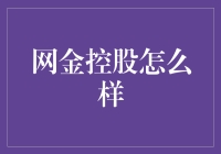 网金控股：一场数字化金融的疯狂之旅