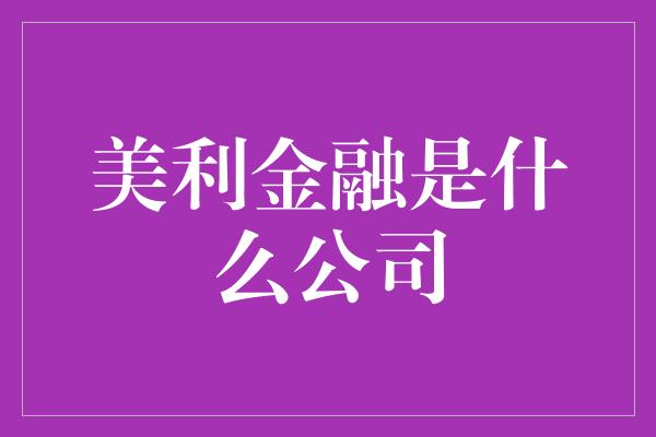 美利金融是什么公司