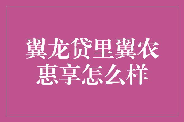 翼龙贷里翼农惠享怎么样