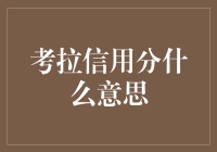 考拉信用分：您的数字信誉度