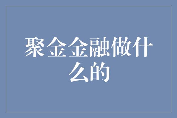 聚金金融做什么的