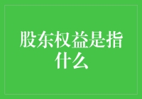 股东权益是指：公司所有者利益的体现