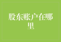 股东账户：企业财务的透明窗口